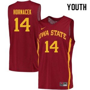 Youth Iowa State Cyclones Jeff Hornacek #14 Alumni Cardinal Jersey 853962-237